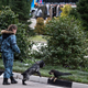 Illustration for article titled The Dogs Of Sochi